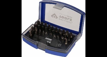 BRILLIANT TOOLS 32-delige Schroevendraaierbitset 1/4 staal