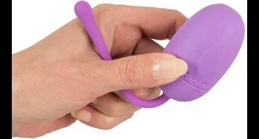 Vibrerend Eitje in Lila Kleur