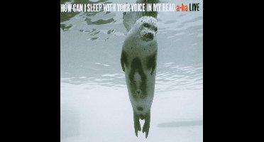 How Can I Sleep With Your Voice in My Head