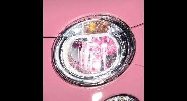 Philips ColorVision H4 Paars 60/55W 12V, set à 2 stuks