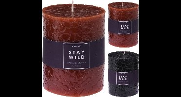 kaars - met slangenpint - 10 cm - 2 stuks - zwart - cognac