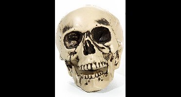 Verhaak Doodshoofd Halloween 10 Cm Beige