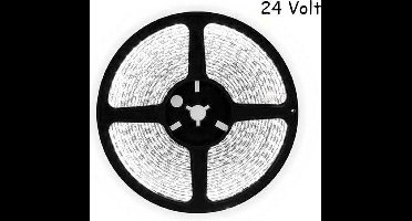 5 meter daglicht led strip - 60Leds/m - 24V