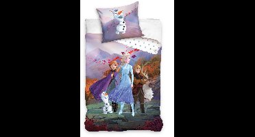 Frozen Dekbedovertrek Team - 140 x 200 cm - Katoen - 60x70cm