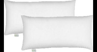 Bodyprotect Ecoline Hoofdkussen 2 Stuks 40 x 80 cm Wit