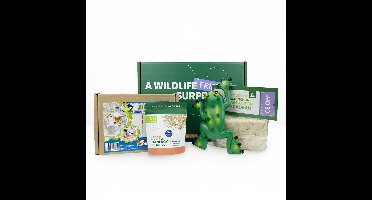 Junior Ontdek & Leer Box