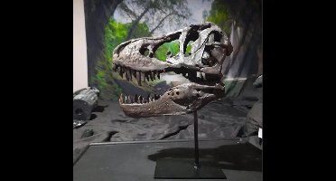 T-Rex Schedel Replica T-Rex Schedel Replica – – Handgemaakte Dinosaurusdecoratieinosaurusdecoratie van Hars met Met van Hars met Metalen Standaard