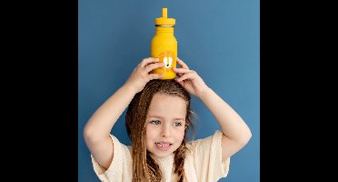 Roestvrijstalen fles 350 ml - Mr Lion