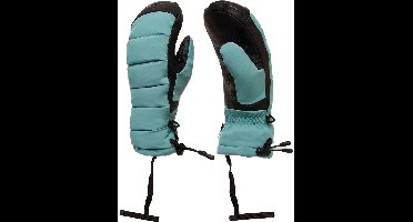 Oakley Apparel Wmns B1b Winter Handschoenen Groen XL Vrouw
