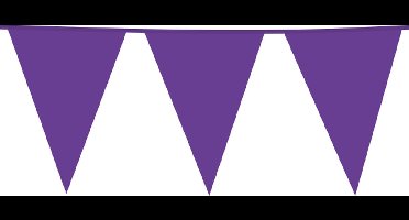 6x Giga Vlaggenlijn Paars 30x45cm 10 meter XXL - Verjaardag Feest Party Festival Poolparty Decoratie