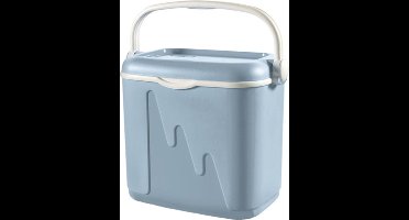 Curver Koelbox - 32L - Grijs