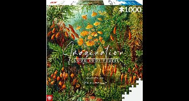 Ernst Haeckel - Muscinae Puzzel - Puzzel 1000 stukjes volwassenen - Natuur Thema