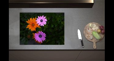 Inductieplaat Beschermer - Bovenaanzicht van Roze en Oranje Spaanse Margietjes Bloemen in de Struiken - 70x51 cm - 2 mm Dik - Inductie Beschermer - Bescherming Inductiekookplaat - Kookplaat Beschermer van Wit Vinyl