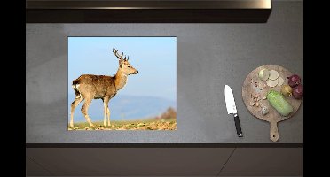 Inductieplaat Beschermer - Bruin Hert in de Herfst - 59x51 cm - 2 mm Dik - Inductie Beschermer - Bescherming Inductiekookplaat - Kookplaat Beschermer van Zwart Vinyl