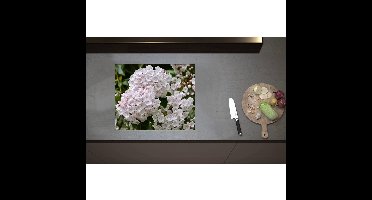Inductieplaat Beschermer - Breedbladige lepelboom bloemen wit en roze gekleurd - 60x50 cm - 2 mm Dik - Inductie Beschermer - Bescherming Inductiekookplaat - Kookplaat Beschermer van Zwart Vinyl