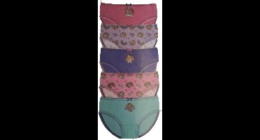 Paw Patrol Skye Slip Maat 122-128 5 stuks