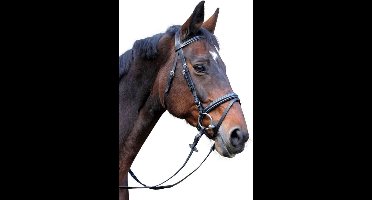 Kerbl Hoofdstel Classic leer zwart cob 326138