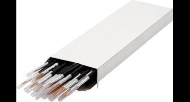 Creativ Company Gold Line Acryl Penselen All-round Rond Set 36 stuks