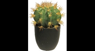 Nova nature - SO Golden Barrel cactus w/pot green 23 cm kunstbloem