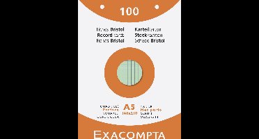 Exacompta 10x etui 100 steekkaarten bristol geruit 5x5 geperforeerd 148x210mm - Geassorteerd - 13658E
