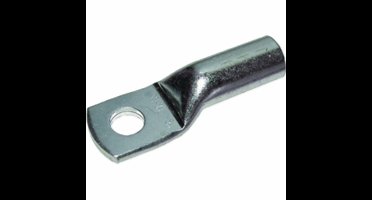 Intercable DIN kabelschoen ring recht 95 mm² M20 vertind per 25 stuks (ICD9520)