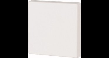 EATON INDUSTRIES XComfort Bedieningselement/Centrale Plaat Schakelmateriaal - 184589 - E375V