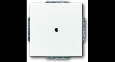 ABB Busch-Jaeger Future/Solo Bedieningselement/Centrale Plaat Schakelmateriaal - 2CKA001710A3161 - E2EYD