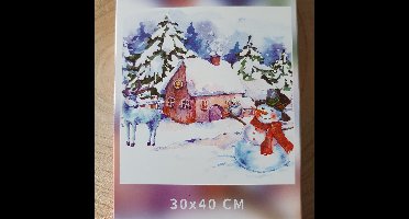 Diamond painting 40 x 30 cm, Kerst, kerstdorpje, knutselen, hobby