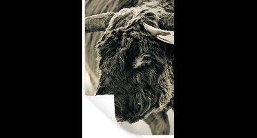 Muurstickers - Sticker Folie - Schotse Hooglander - Sneeuw - Horens - 20x30 cm - Plakfolie - Muurstickers Kinderkamer - Zelfklevend Behang - Zelfklevend behangpapier - Stickerfolie