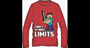 Minecraft T-shirt Lange Mouw - Maat 152 / 12 jaar