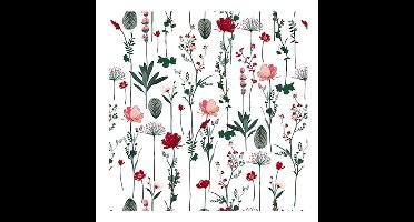 Kangaro toonbankrol - nature wit - 50 cm x 200 meter - 80 gram - K-602046-1-50