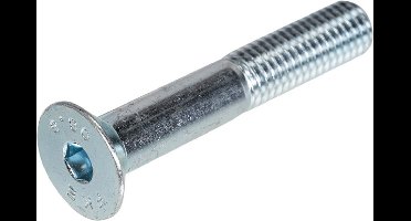 Inbusbout 8.8 vz pk M8x80mm DIN7991