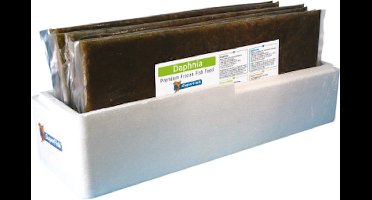 SuperFish Diepvriesvoer Pacifica 500 gram Plak Diepvries