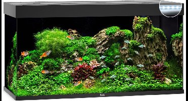 Juwel Rio 350 LED Aquarium - Zwart - 350L - 121 x 51 x 66 cm