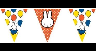 Nijntje vlaggenlijn - 2x - 10 meter - plastic - feest - verjaardag versiering - slingers