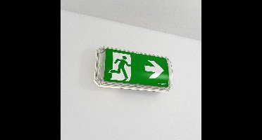 HOFTRONIC – LED noodverlichting opbouwmontage – 4,2 watt 300 lumen – IK10 impactproof – IP66 waterdicht – Polycarbonaat – 3 uur noodaccu – Daglicht wit licht – Vluchtwegaanduiding