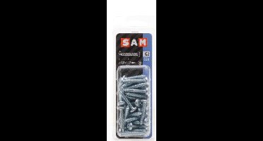 32x SAM Zelftappende schroef cyl. kop G2 818388