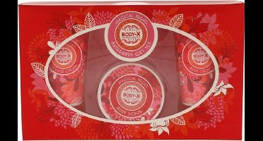 Body-X GSV Magical Night Bath & Body