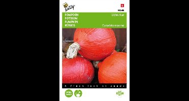 Buzzy Zaden - Pompoen Oranje Zon Cucurbita maxima