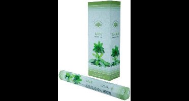 Green Tree Wierook Salie 20st.