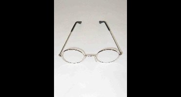 PartyXplosion - Bril - Rond - Doorzichtige glazen