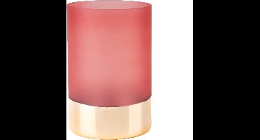 Pt Vaas Gold Glamour Small - Pink