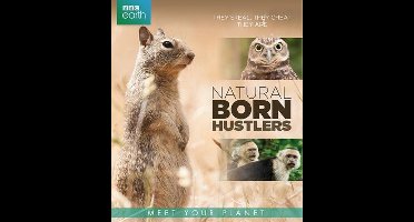 BBC Earth - Natural Born Hustlers (Blu-ray)