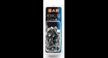 40X SAM Tapbout + moer verzinkt 5x16mm H1 818480