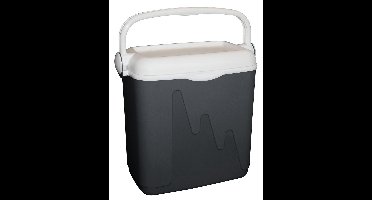 Curver Koelbox - 20L - Antraciet