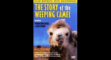 Story of the weeping camel