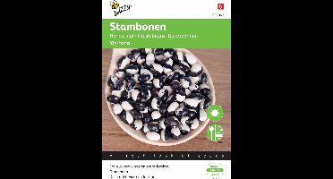 Buzzy® Stambonen Yin Yang
