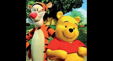 DWP - Hello Tigger & Pooh