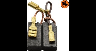 Koolborstelset voor Hilti Hamer TE55 - 6,3x10x19mm