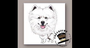 Tegel Hond Samoyed